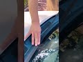 SEAMETAL Car Window Seal Strip Rubber T-Shape Sunproof External Windshield Edge Sealing Protector