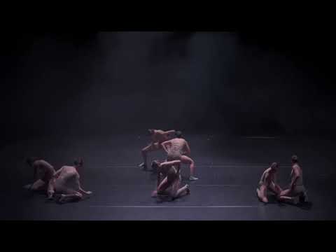 NS Dance Company and T.O.N.E.S. Junior Dance Company – Audition Call 2026/2027 Season