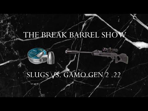 Slugs in a break barrel ?