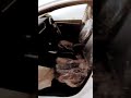 Toyota Corolla Altis GRANDE 2022 MODEL ZERO METER Shorts Video