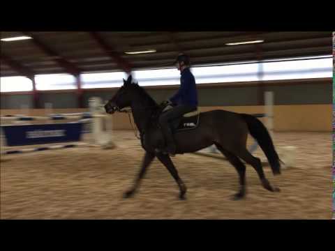 Bacardi f.05 e: Burggraaf - Zeus