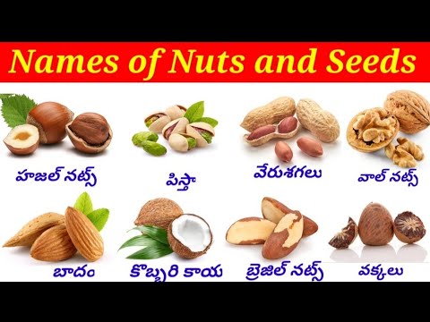 Nuts and seeds names english to telugu nuts and seeds names nuts and seeds name in telugu