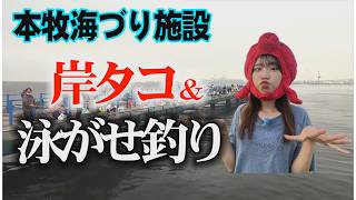カサゴ・タコ