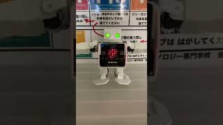 #いつか飛んでみたい！