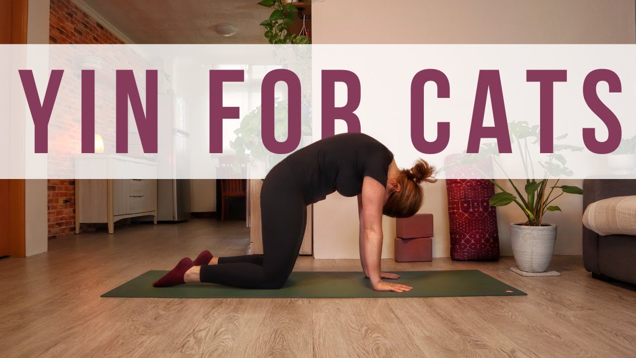 Cat-Inspired Yin Yoga for Quiet Cats 🧶 — Yin Yoga class, 38 minutes