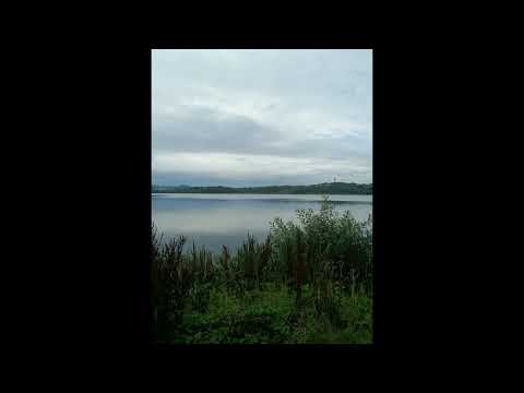 The Lily of the West - S S