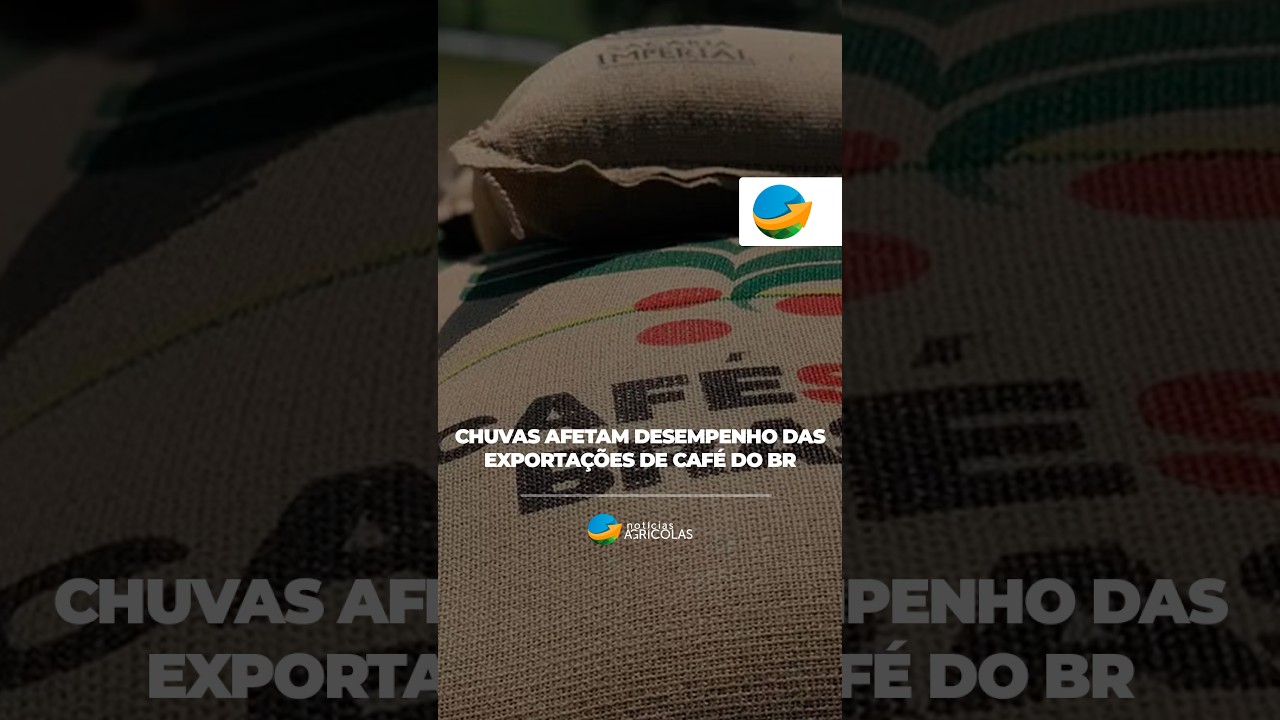 Exportações brasileiras de café