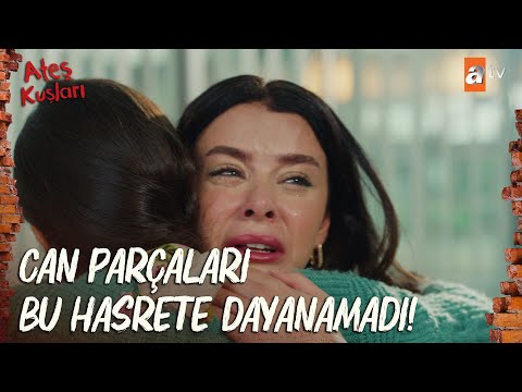 Abla kardeş bu hasrete daha fazla dayanamadı! - Ateş Kuşları 30. Bölüm