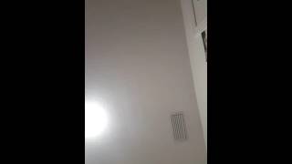 Merzbow eat your heart out.