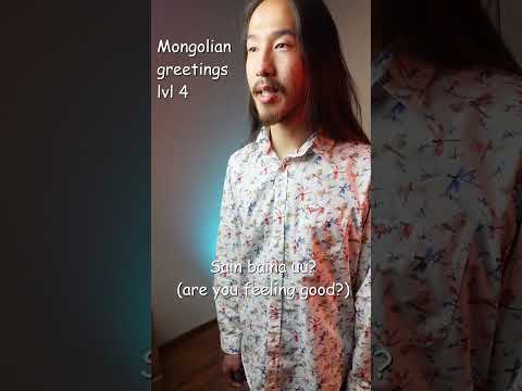 Mongolian greeting levels