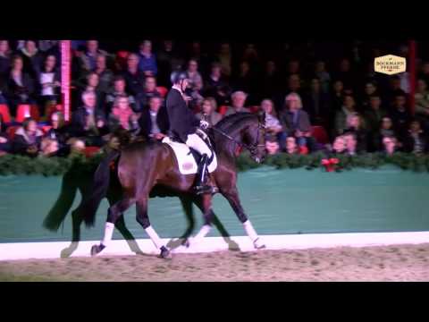 Radisson v. Rock Forever I - Sevillano xx / Hengstvorführung Vechta 2016 / Böckmann Pferde
