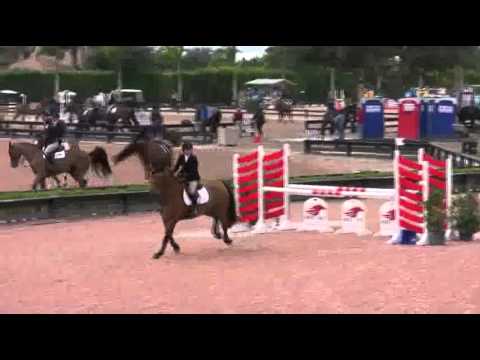 Video of ANDANTE ridden by CRISTINA LONGO from ShowNet!