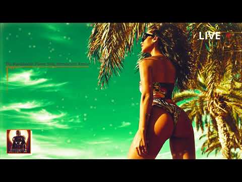 The Mandalorian Theme Song (Bransboynd Remix)