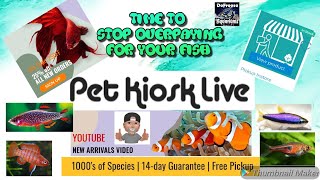 Saving money on tropical fish, I will tell you how!