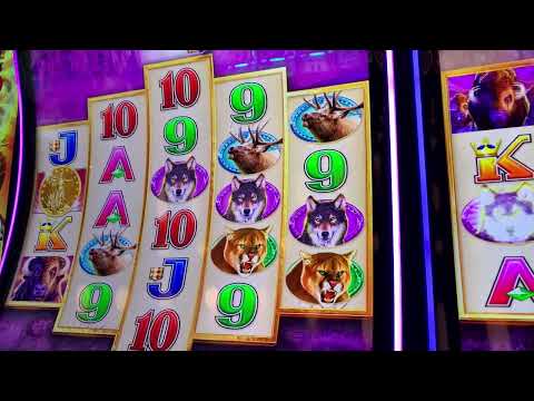 Slot Machine Hand Pay Buffalo Diamond