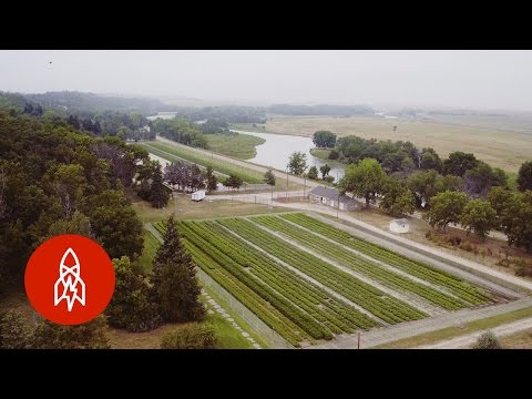 The Forest Farmer | That's Amazing