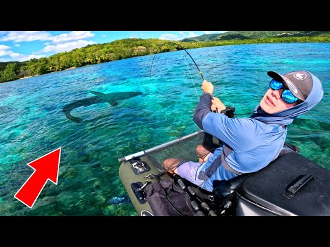 MONSTRE EXOTIQUE inattendu et ça devient violent !!! (Pêche en Martinique en float tube)