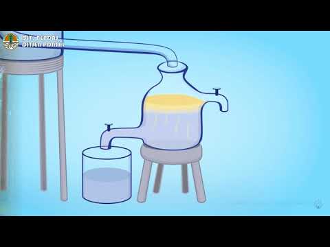 Penyebab impotensi pada 53 Apakah potensi vitamin E dari