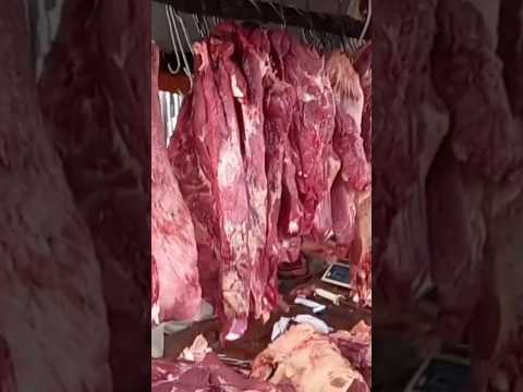 vídeo completo no canal feira livre de vila Quebec camutanga PE