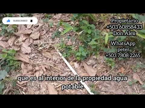 2 manzanas en venta en San Pedro Nonualco La Paz El Salvador. 