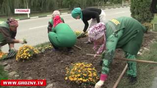 В Грозном проходят активные подготовки к предстоящему Дню города