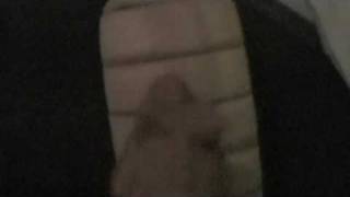 Dyli cover thumbnail