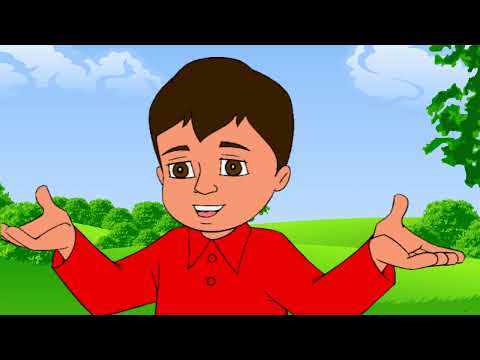 Sahabe Kimdir?