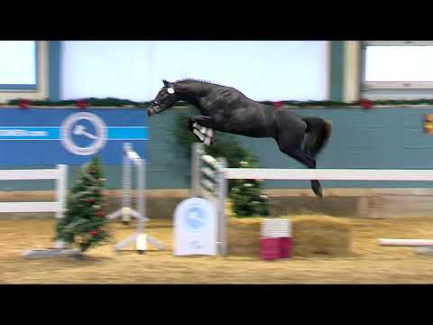 Clinton's Heart x Cranach