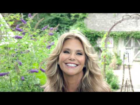 Christie Brinkley Hair2wear Collection for Sally Beauty