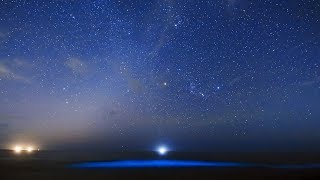 冬の星座と夜光虫の輝き
