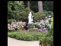 Garden Park Nature Status Garden Park Statue Garden Park Nature WhatsApp Status Shots Nature