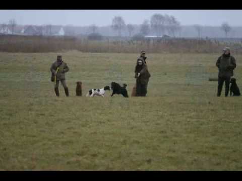 Walk-Up Seminar mit Jörg Brach