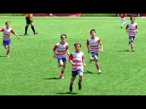 Salgueiros x Padroense 4-3 (25/05/2024)