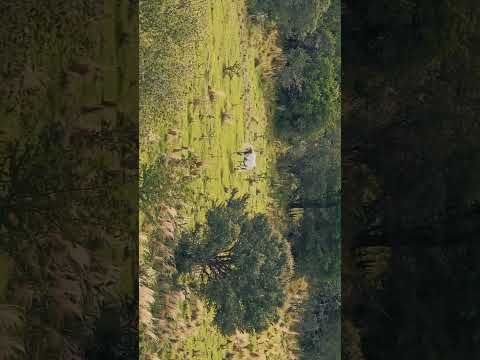 💫Atardecer en #nono #traslasierra mirador 🤍✨️ #travel #argentina #viajar #cordoba