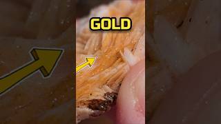 River Gold catcher (Baryte) +1kg in a day 🤫 X-Finds