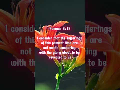 Romans 8:18 #Romans #Bible #Bibleverse #WordofGod #Wisdom