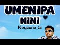 Keyzone Tz Umenipa Nini Official Lylics Audio