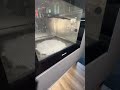 New Self Washing Miele Oven Miele Appliances Modernkitchens Kitchendesign Givemeyourfloorplan