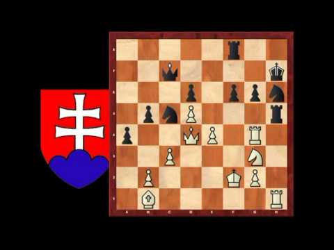 9.5. FM Tamás Petényi - IM Vasilij Gagarin 1/2 - 1/2