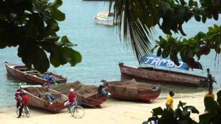 Zanzibar (Song of Njiwa) by The Peter Ulrich Collaboration