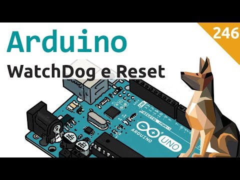 Arduino e i watchdog - Video 246