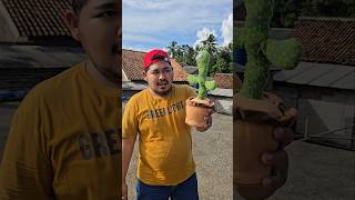 Download lagu di kasih tanaman ajaib dari emang #trendingshorts mp3