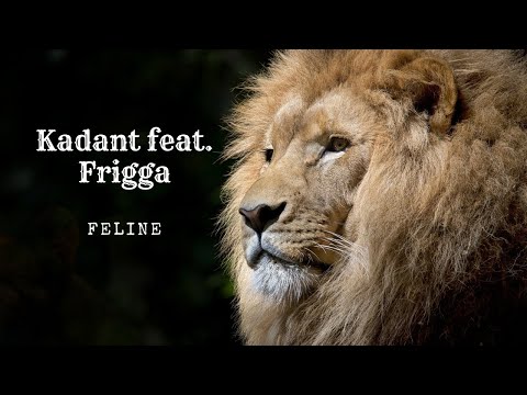 🔘Kadant feat. Frigga - Feline🔘Pop🔘
