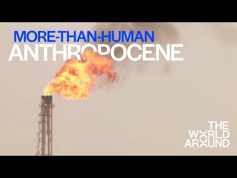 The More than Human Anthropocene |  Feral Atlas at The World Around