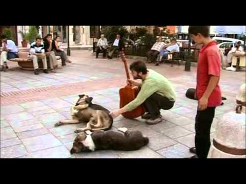 Crossing the Bridge - The Sound of Istanbul