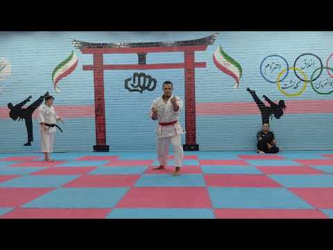 OHAN DAI RYUEI RYU KATA