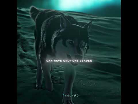 "A pack can have only one leader" The Call of the Wild #shorts #edit