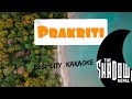 Prakriti : The Shadows | Karaoke  with lyrics and chords.