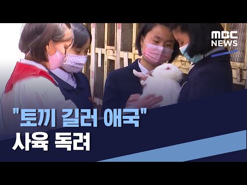 , title : '"토끼 길러 애국" 사육 독려 (2021.05.15/통일전망대/MBC)'