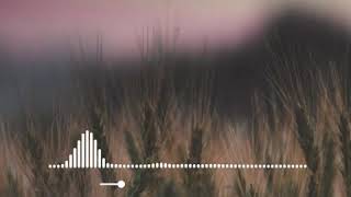 Download lagu Story wa/seberkas sinar-nike ardila (cover adlani rambe) mp3 Download lagu Story wa/seberkas sinar-nike ardila (cover adlani rambe) mp3